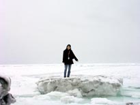流氷画象